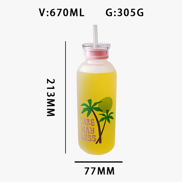 Glass Juice Bottle With Straw 670ml
